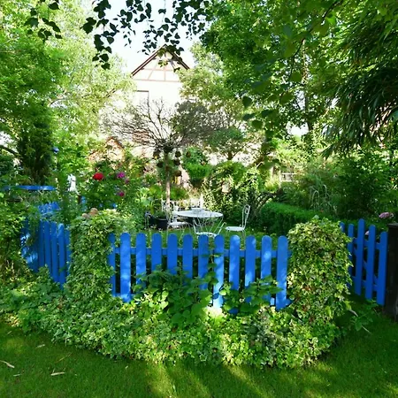Bien être et détente chez côté campagne et jardin Ohnenheim Esterno foto