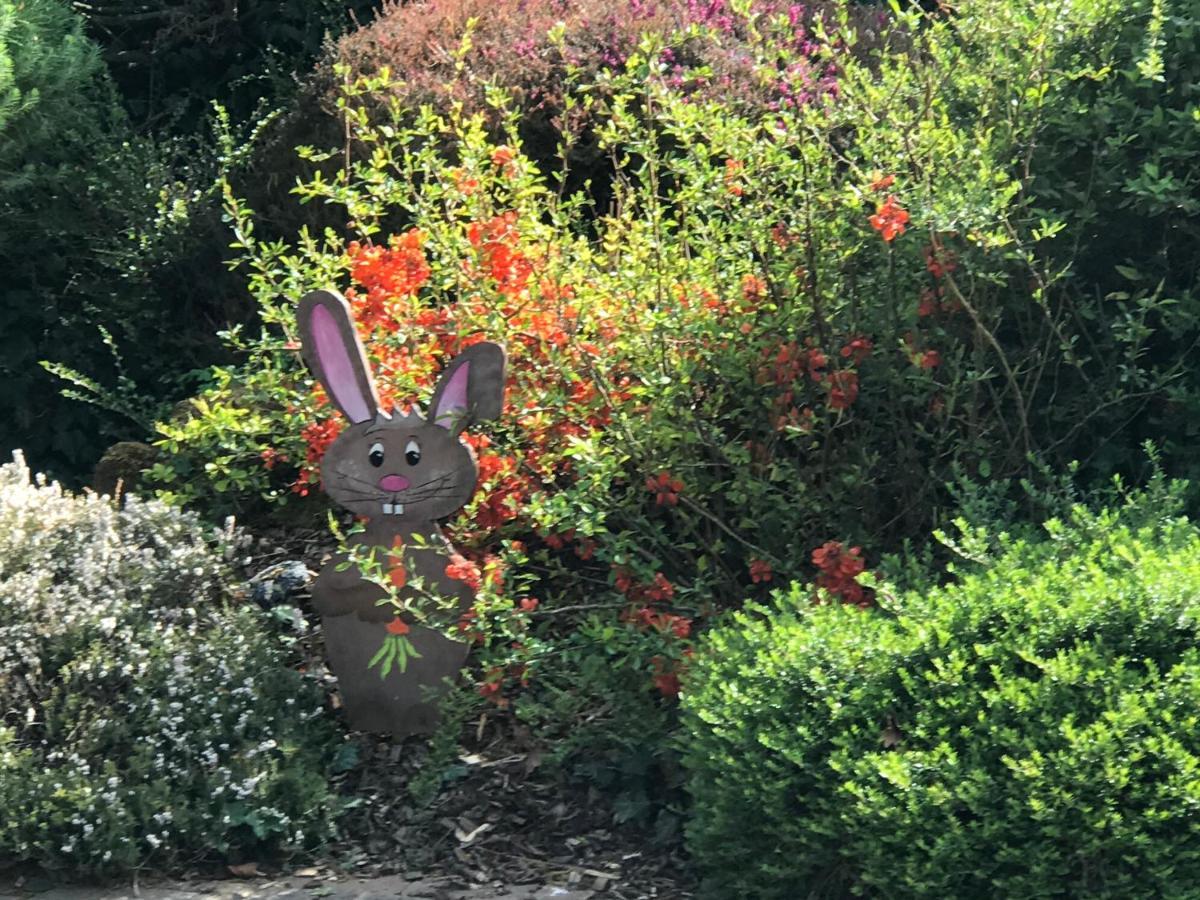 Bien Etre Et Detente Chez Cote Campagne Et Jardin Ohnenheim